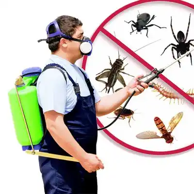 pest control Manasquan